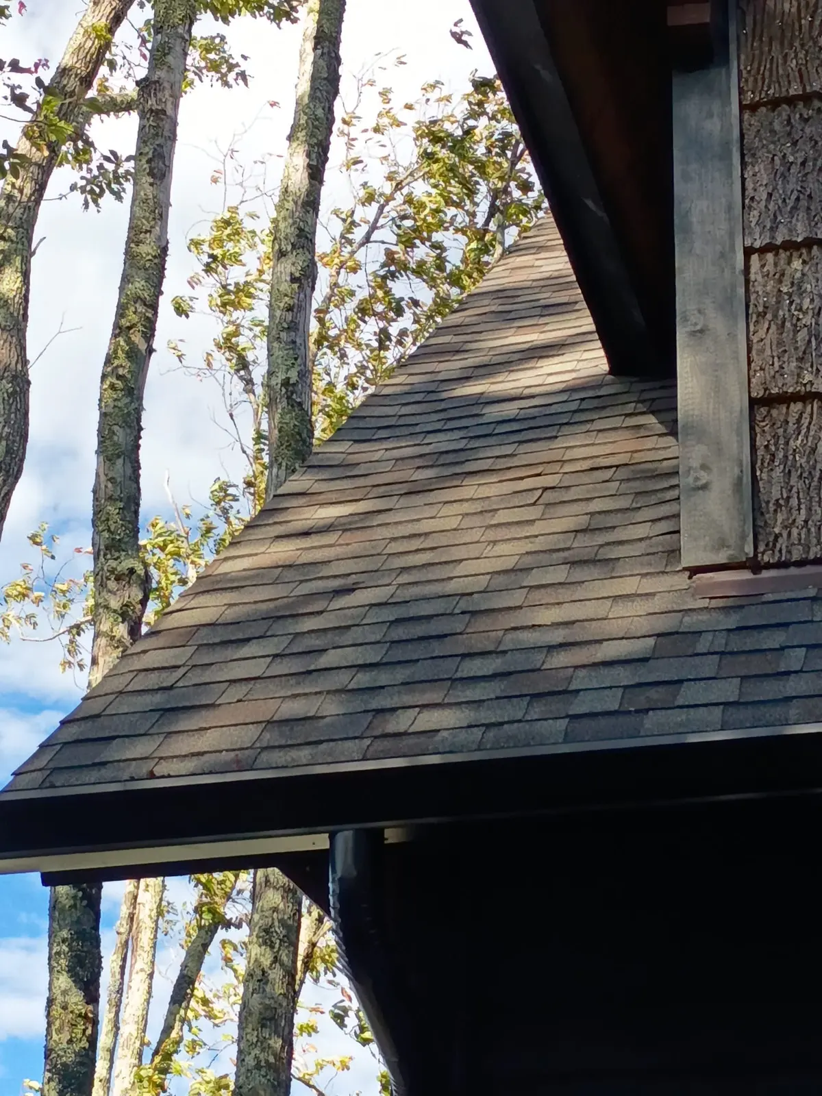 Roof Repairs & Remodeling